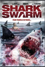 Shark Swarm 2008
